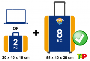 tap baggage charges