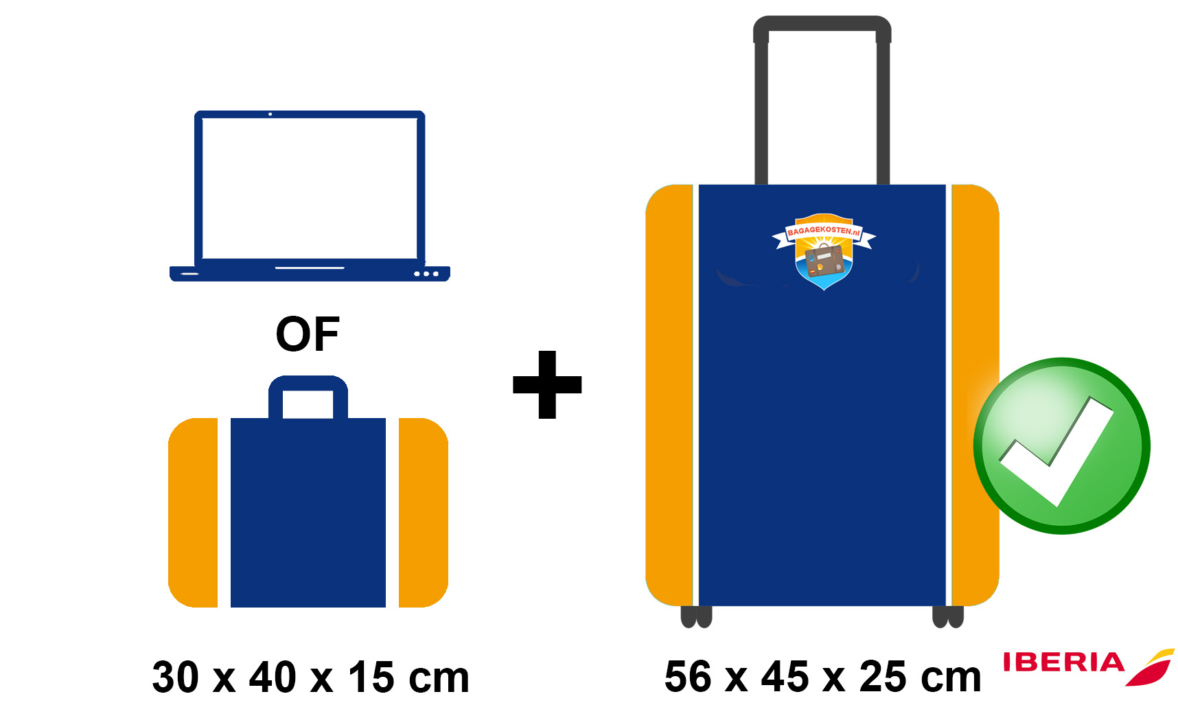 iberia international baggage